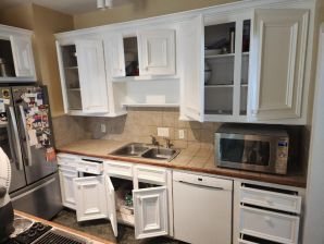 Before & After Cabinet Painting in The Woodlands, TX (10)