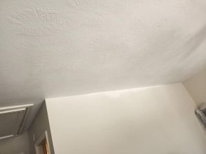 Before & After Drywall Repair & Ceiling Painting in Houston, TX (4)