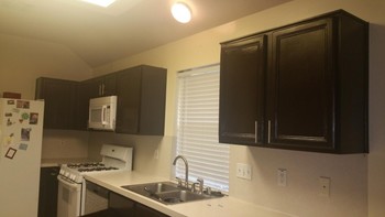Kitchen Cabinet Refinishing by Mendoza's Paint & Remodeling in Spring, TX